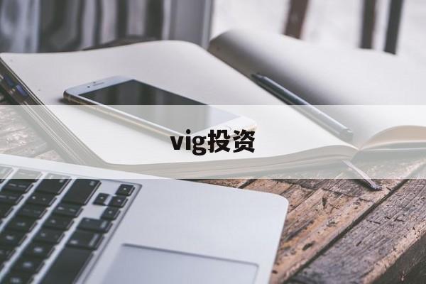 vig投资(viggle官网)
